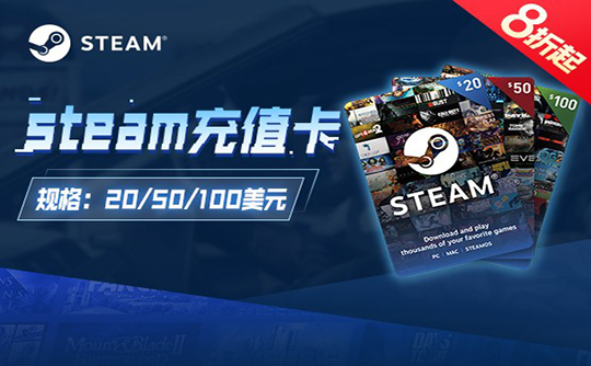 Steam充值卡-100美金（人工代充）