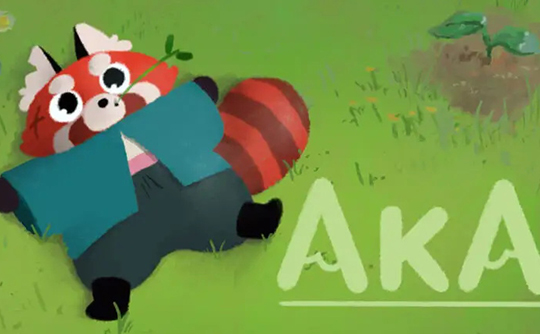 Aka（steam国区激活码）