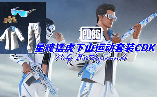 PUBG 星魂猛虎下山运动套装（CDK）