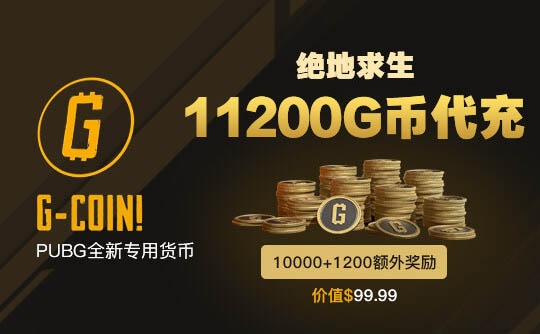 绝地求生11200G币代充（100美金）