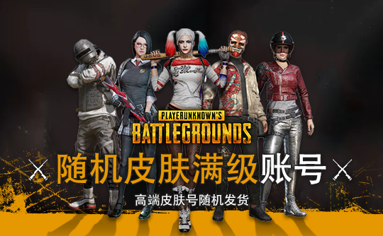 绝地求生随机皮肤满级账号