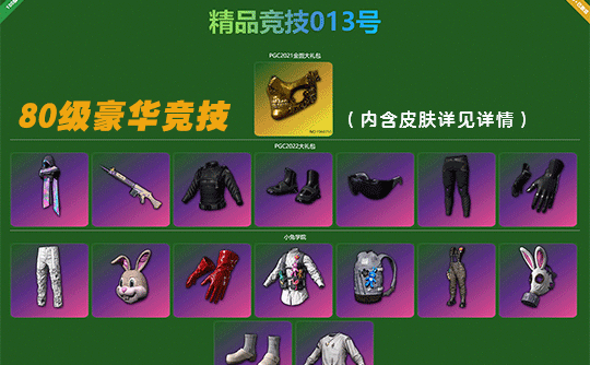 【可竞技13】豪华80级+绝版商店皮肤成品号（库存皮肤详见下图）