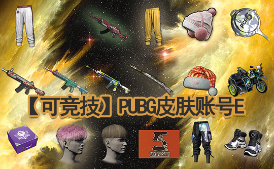 【可竞技】PUBG皮肤账号E（粉头）