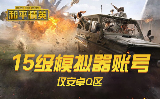 和平精英 模拟器账号（15级可换绑改密）