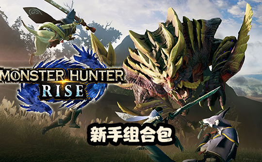新手组合包（国际服）上号代充 怪物猎人Monster Hunter Now