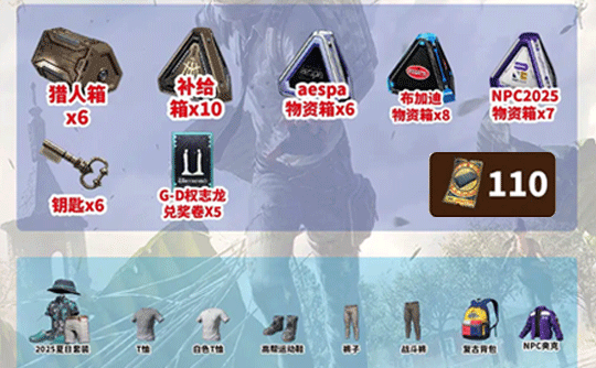 【非豪华基础版】110黑货券+夏日套装+箱子成品号