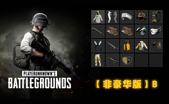 【非豪华版】绝地求生账号B