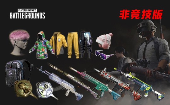 【非竞技】PUBG皮肤账号B