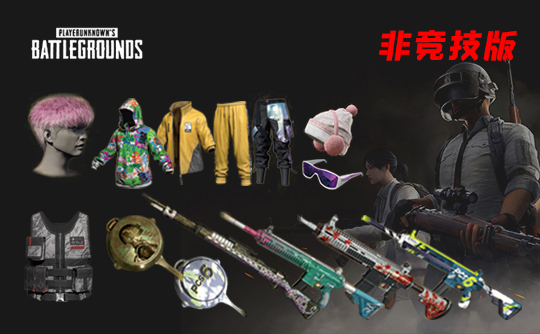 【非竞技】PUBG皮肤账号D