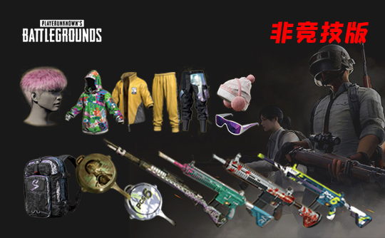 【非竞技】PUBG皮肤账号E