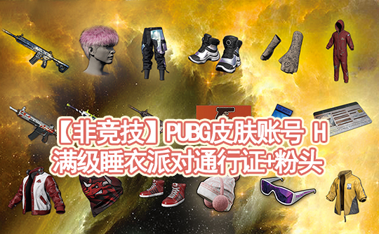 【非竞技】PUBG皮肤账号H(睡衣粉头NH套(无车))