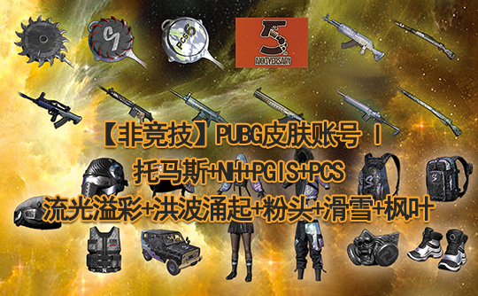 【非竞技】PUBG皮肤账号I（托马斯）