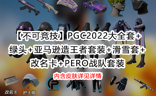 【豪华不可竞技】PGC2022大全套+ 绿头+亚马逊造王者套装+滑雪套+ 改名卡+pero战队套装成品号